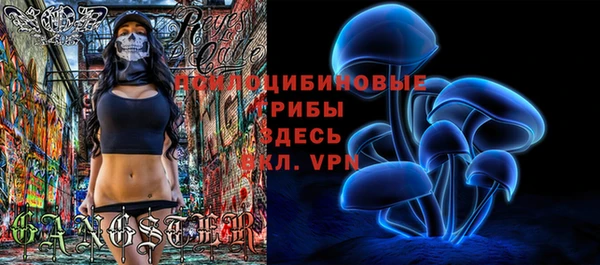 ГАЛЛЮЦИНОГЕННЫЕ ГРИБЫ Абинск
