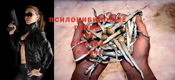 ГАЛЛЮЦИНОГЕННЫЕ ГРИБЫ Абинск