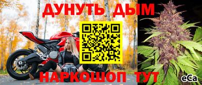 крисы Свободный