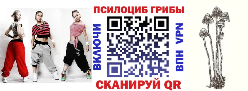 Псилоцибиновые грибы Magic Shrooms  ссылка на мегу сайт  Аксай 