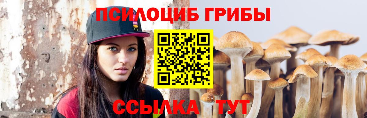 Псилоцибиновые грибы мухоморы  Галлюциногенные грибы GOLDEN TEACHER  Вход с VPN  Аксай 
